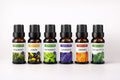 Airova™ Pure Aroma Essential Oil Collection (6-Piece Set)